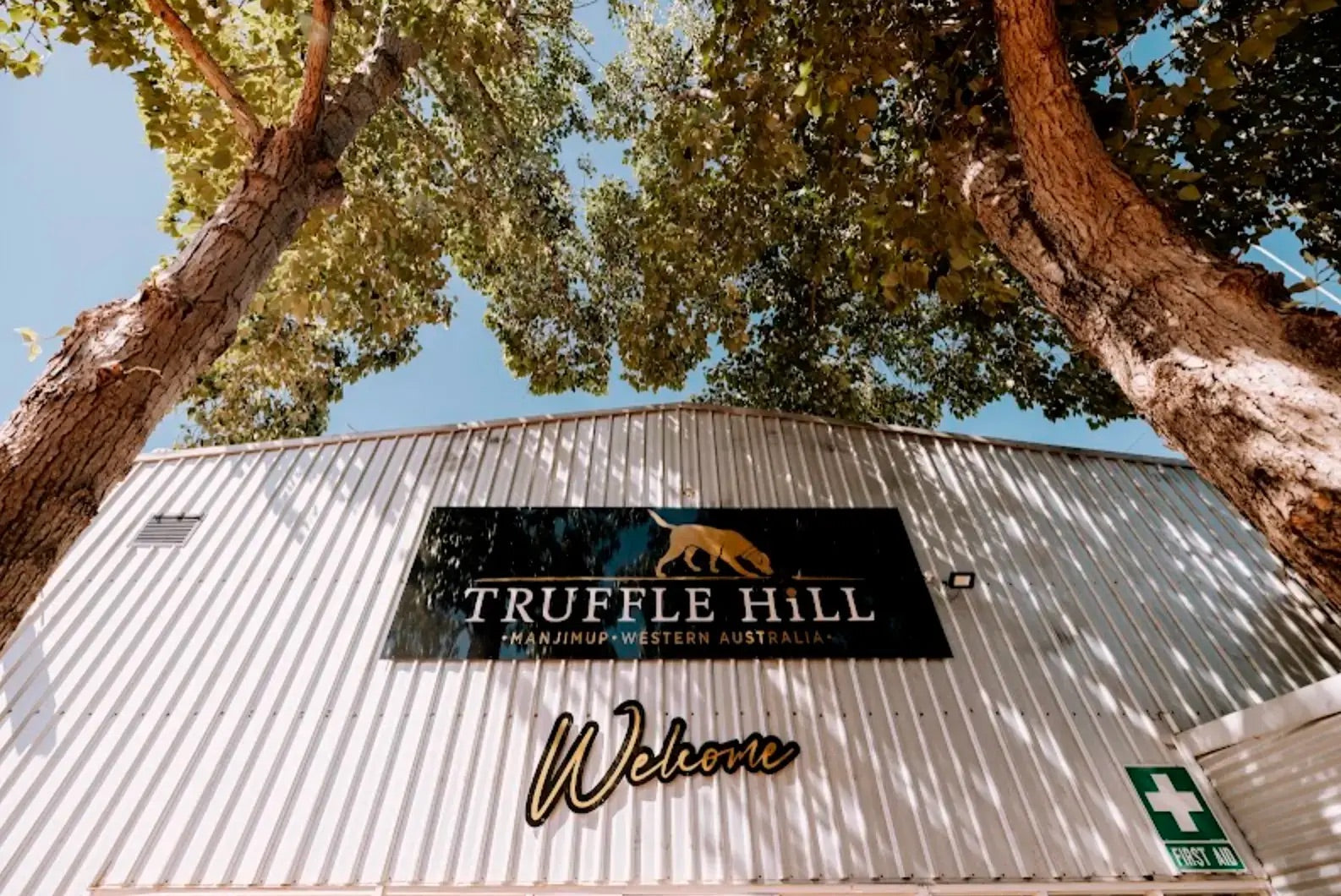 Truffle Products: Gourmet Delights from Truffle Hill