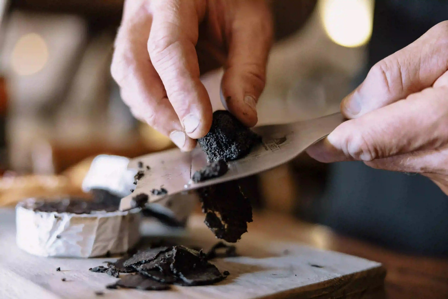 What Does Truffle Taste Like? Earth’s Hidden Culinary Jewel