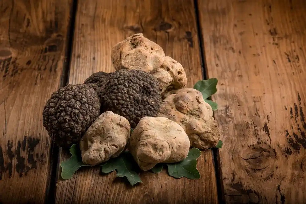 White Truffle vs Black Truffle: Luxurious Showdown