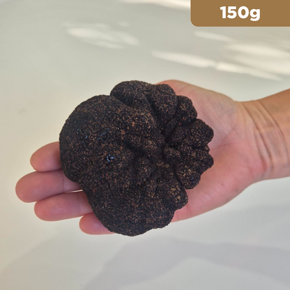 Truffle of the Week - Icon Class