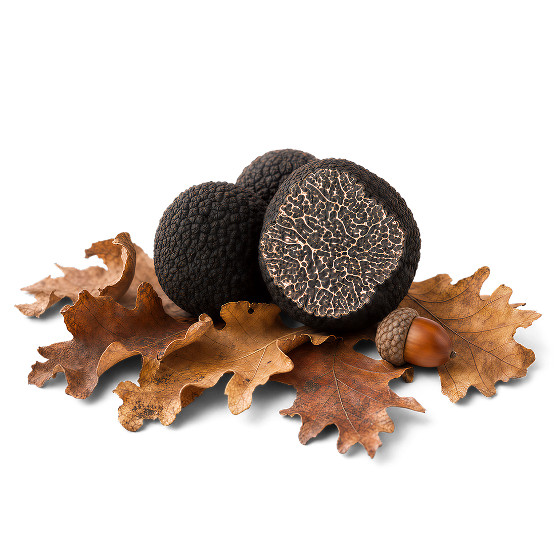 Fresh Black Périgord Truffles
