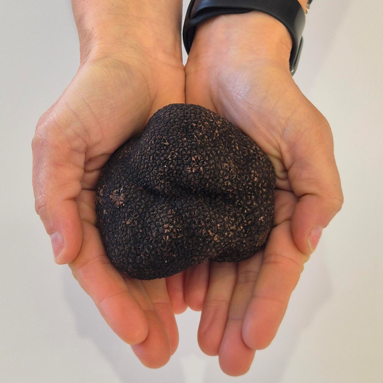Truffle of the Week - Icon Class